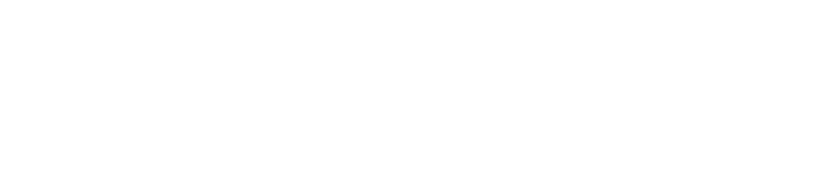 SYNKA+